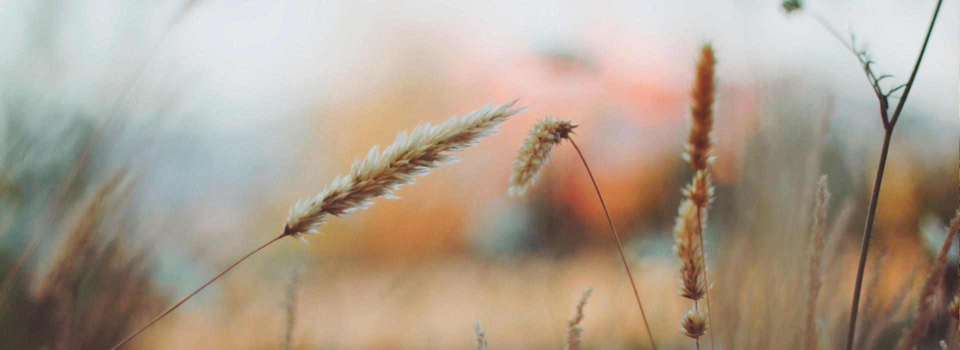 网络ddos攻击软件