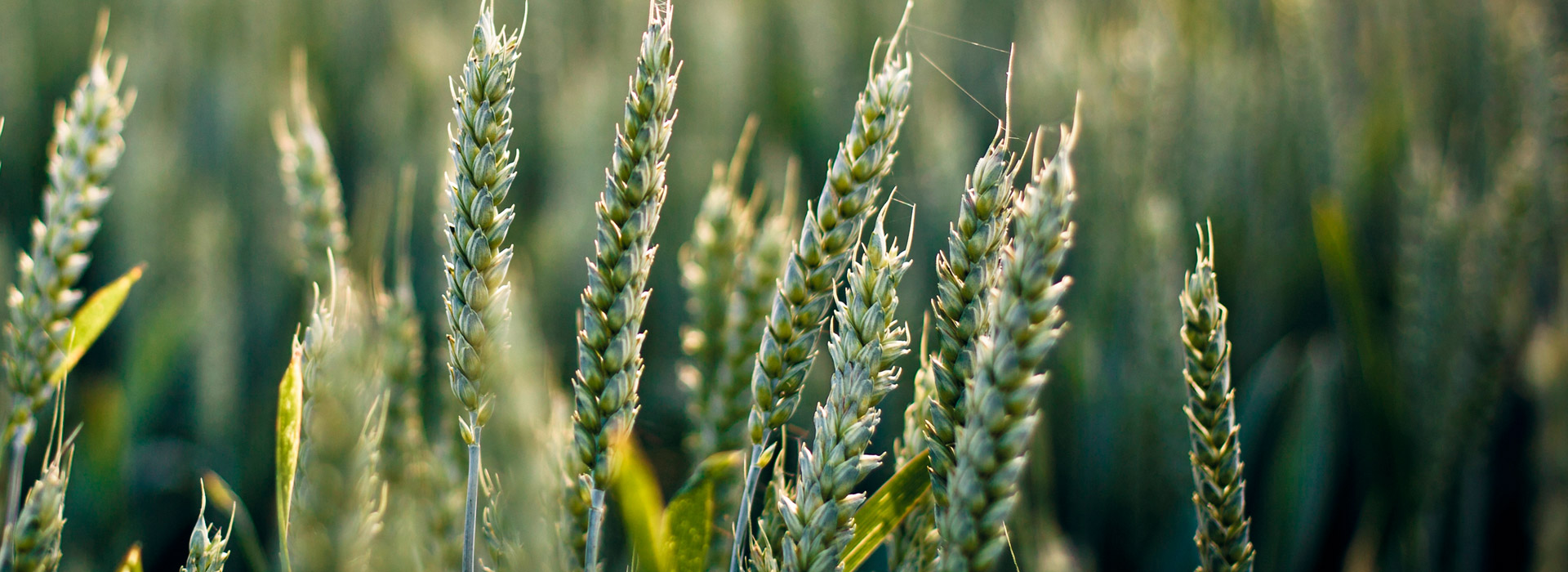 ddos压力在线测试平台