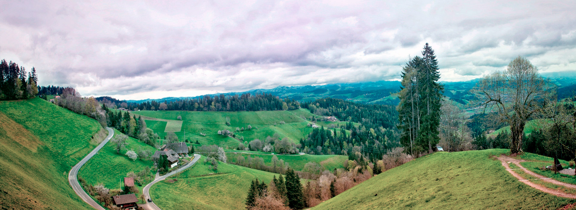 ddos压力在线测试平台